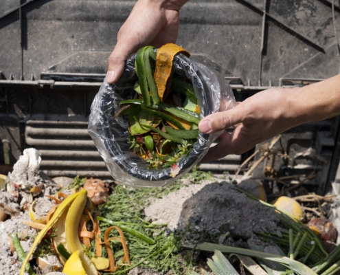 residuos orgánicos